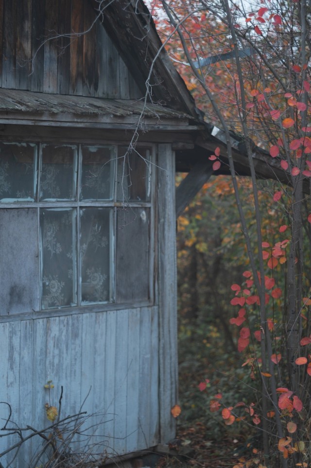 Осень в СНТ