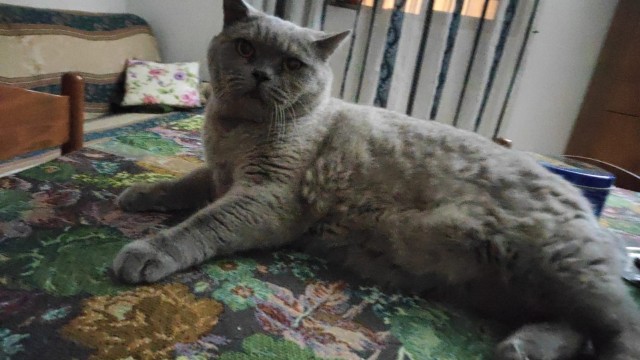 Дёмка вас желает видеть