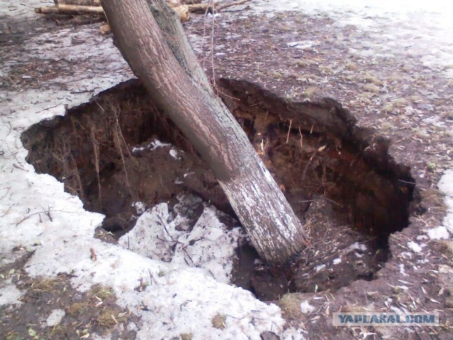 Почистил телефон