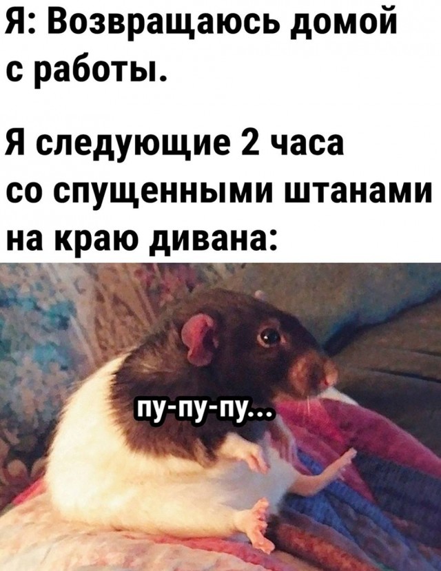 Картинки всяческие от 31.01.2024