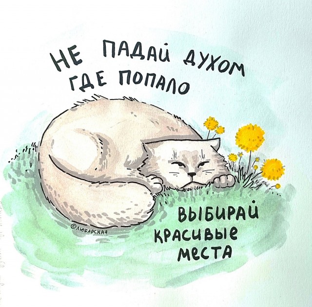 Так себе картинки 21.05.24
