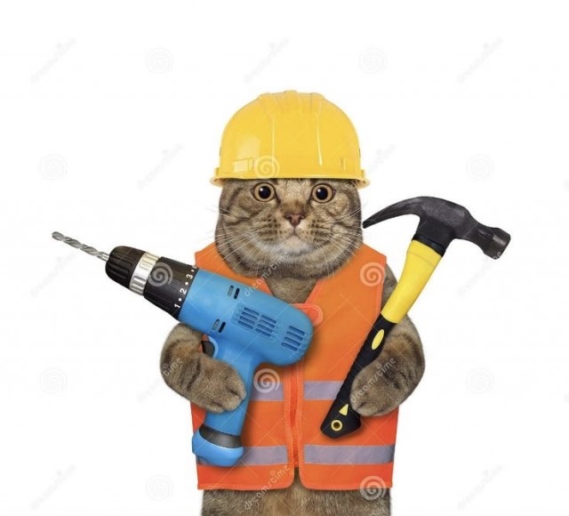 Кот суетолог.