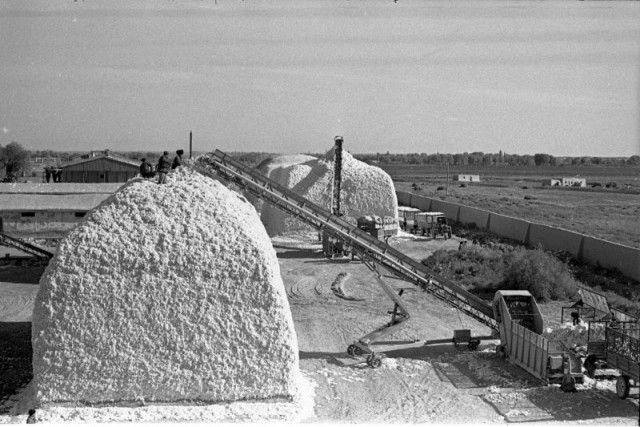 Фотографии из прошлого нашей страны – 62
