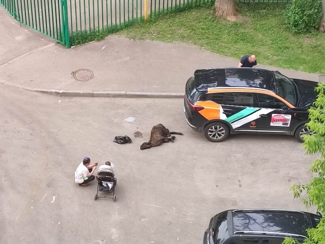 Обстановка в московском Зюзино