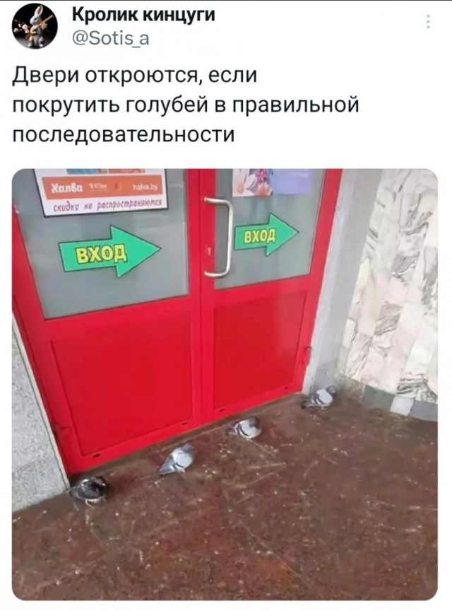 Действительно