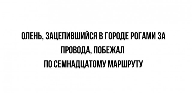 Никакие картинки и тексты