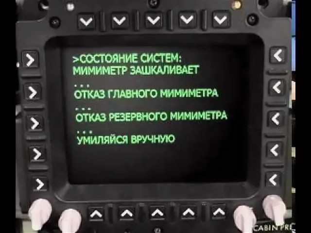 В Новосибирском зоопарке у манула Лоло родились манулята!
