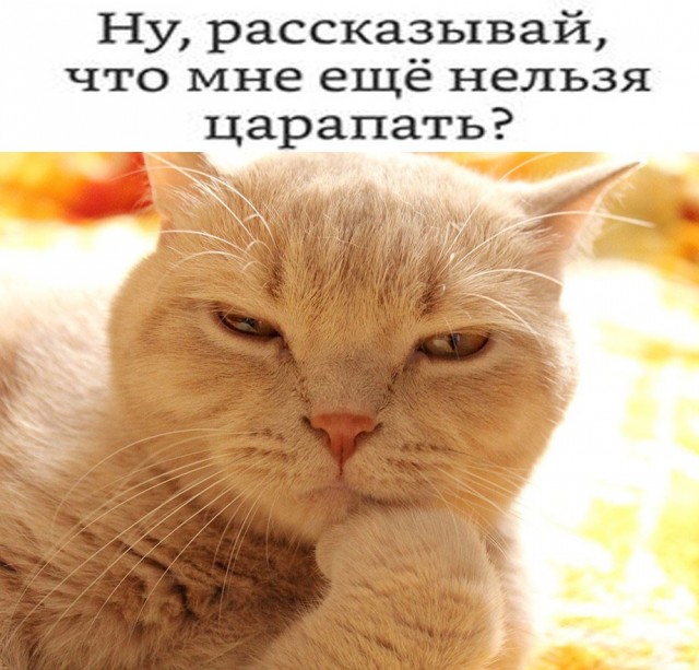 Так себе картинки 13.07.24