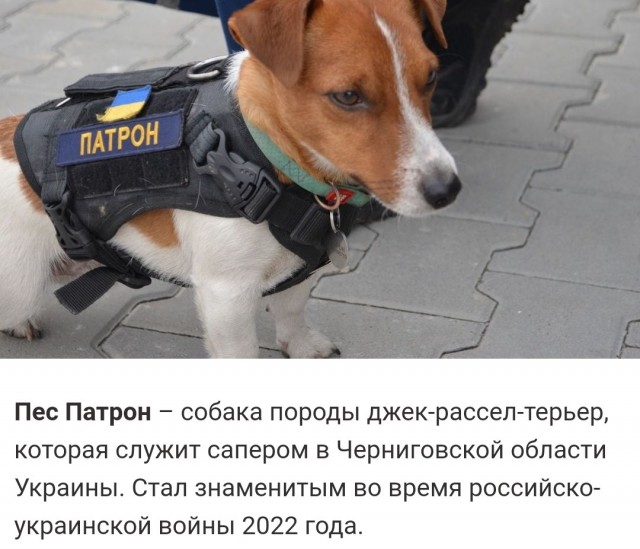 Экипировка