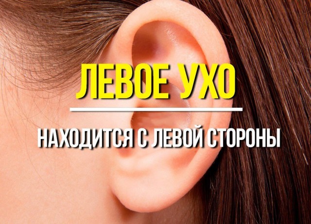 Бесполезные факты