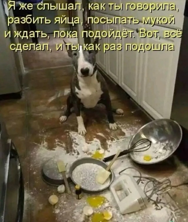 Завалялось тут случайно немного забавных картинок