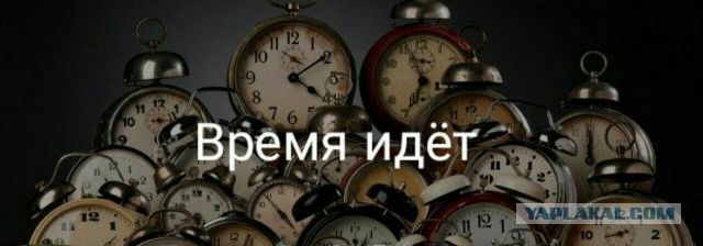 Слезы убийцы. Дело смерти аниматоров на Кубани будут рассматривать присяжные