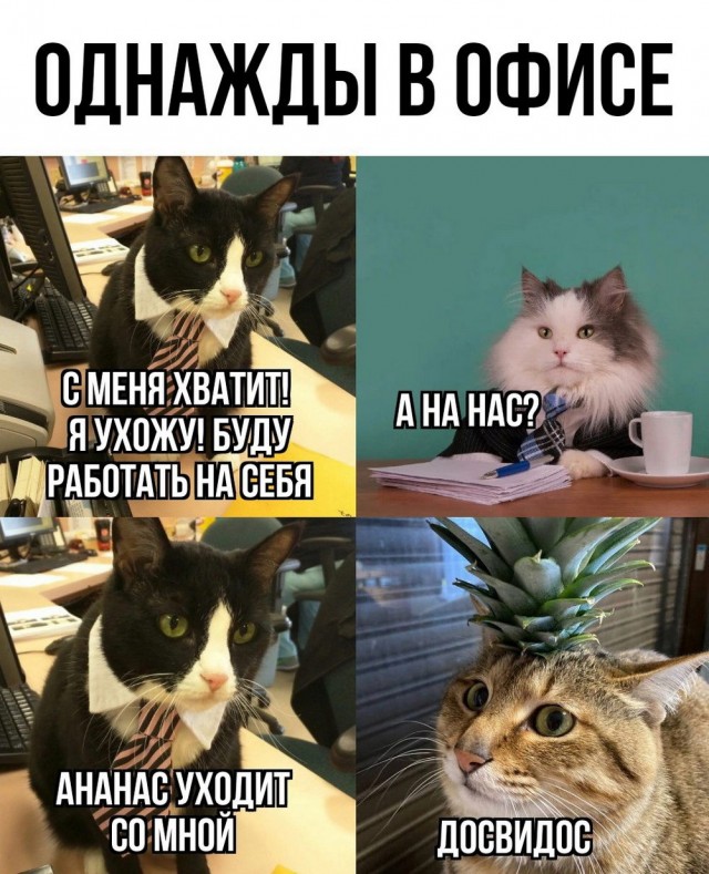 Веселые картинки в маленькую пятницу (28.05)