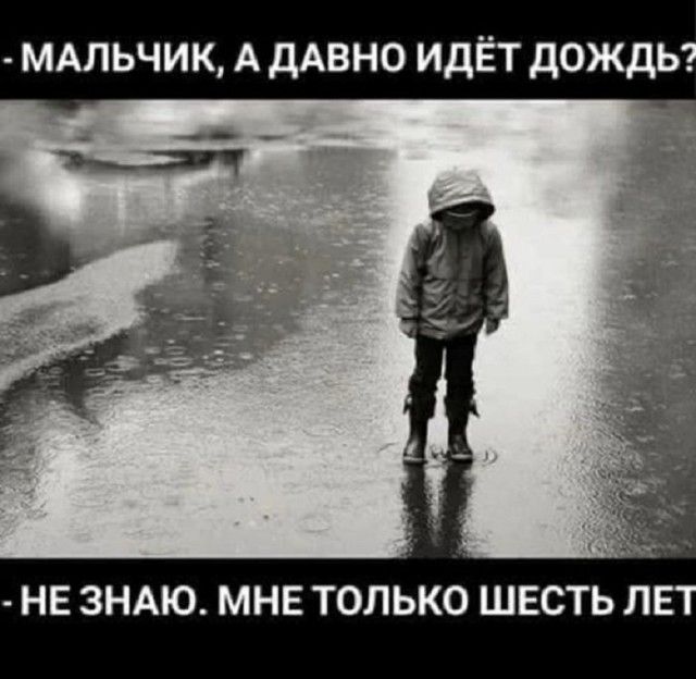 Так себе картинки 04.11.25