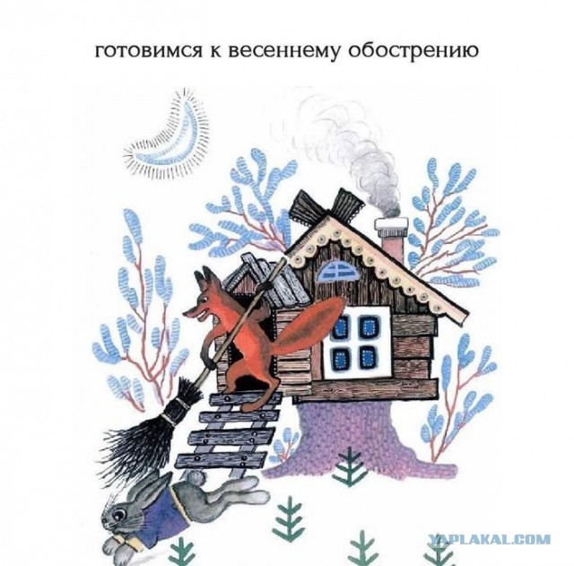 Картинки для деградации 137 (разной степени свежести)