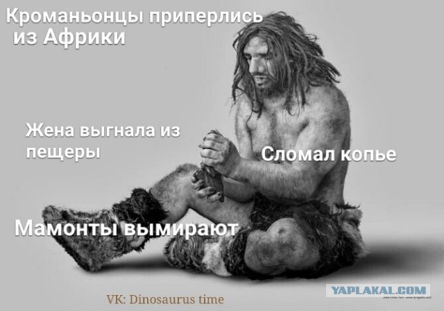 Почему у них у всех какая-то нездоровая гиперфиксация на унитазах?