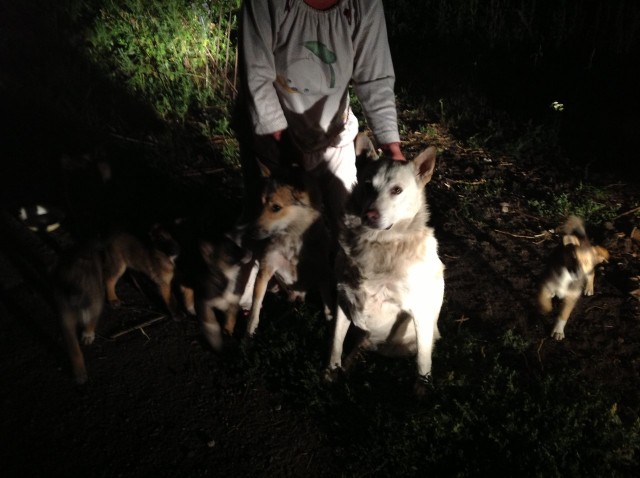 Эх! Не нарадуюсь!