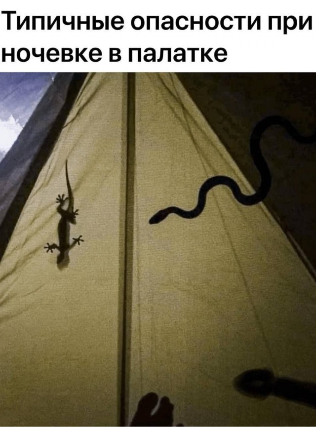 Веселые картинки в маленькую пятницу (15.04)