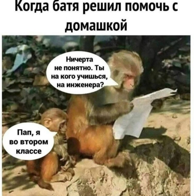 Вторника картинки