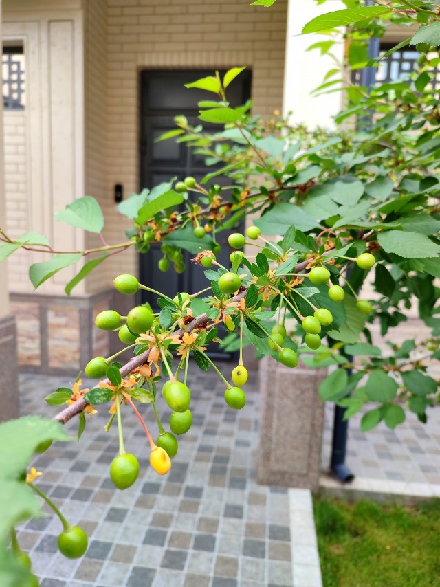 Мурманск сейчас