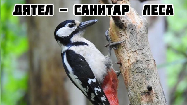 Самая главная доносчица России найдена в Екатеринбурге