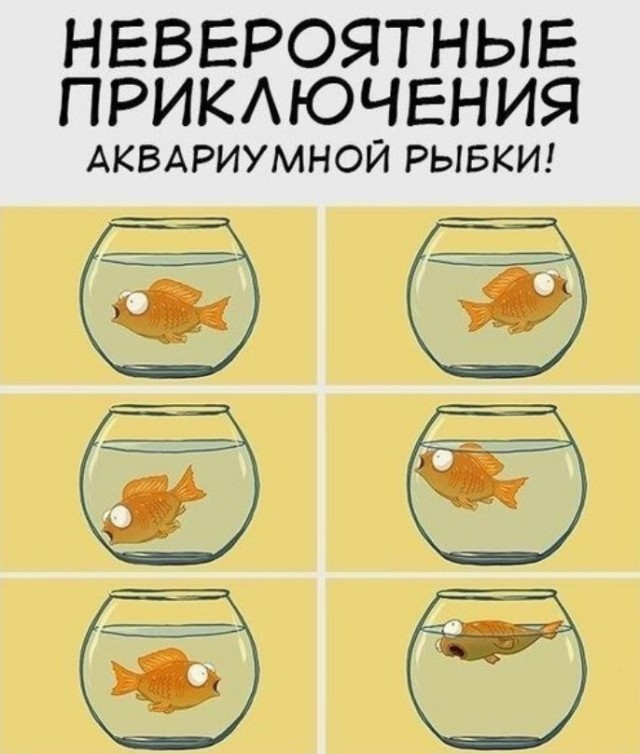 Картиночки, баянчики 01 июля