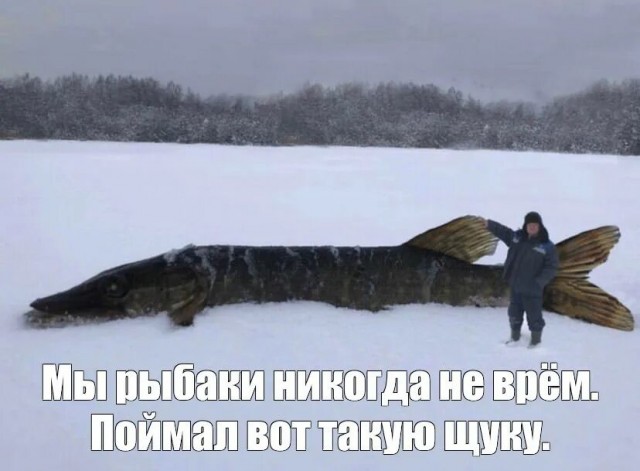 Рыбак рыбака видит издалека