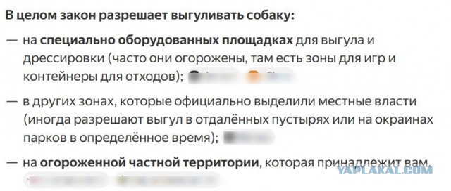 В Краснодаре мужчина ударил собачницу мусорным пакетом во дворе ЖК