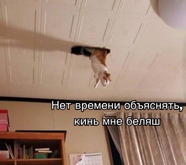 Картинки для деградации 235 (разной степени свежести)