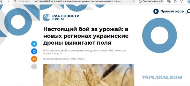 Крик души