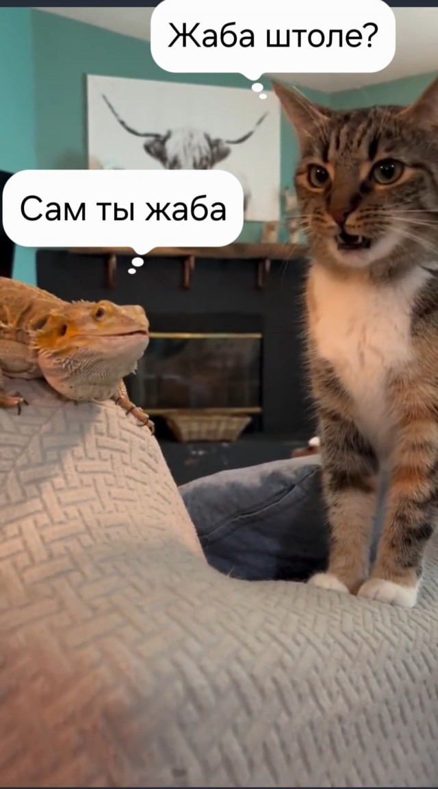 Наташа, зачем нам дракон?