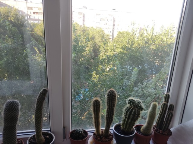 Третья коллекция