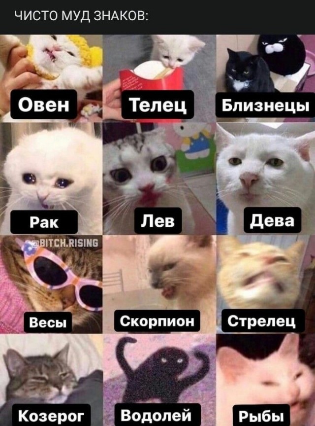 Подарите хотя бы немного тепла.