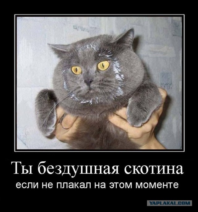 Унываторы (19 фото)