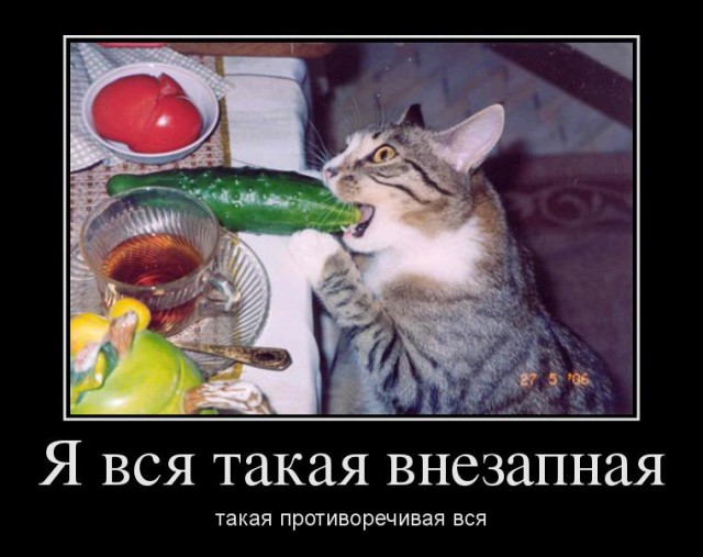Самые известные кино-фразы