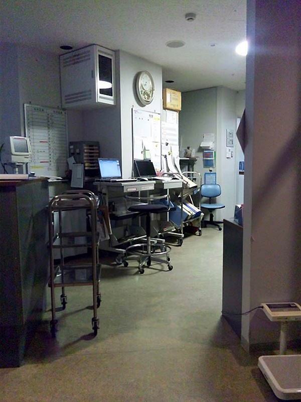 Репортаж из японского роддома