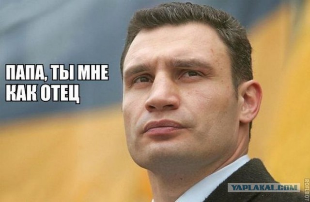 Подборка веселых картинок