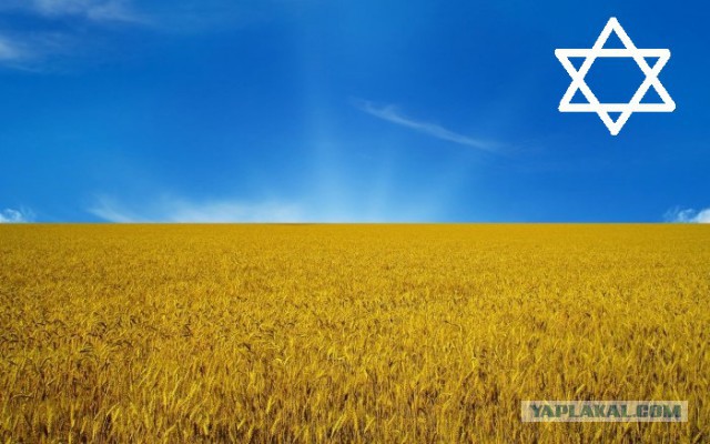 Перемирие кончилось, едва начавшись., часть 3