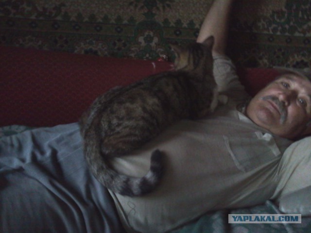 Котовторник 16.06.2015., Котовторник наступил!