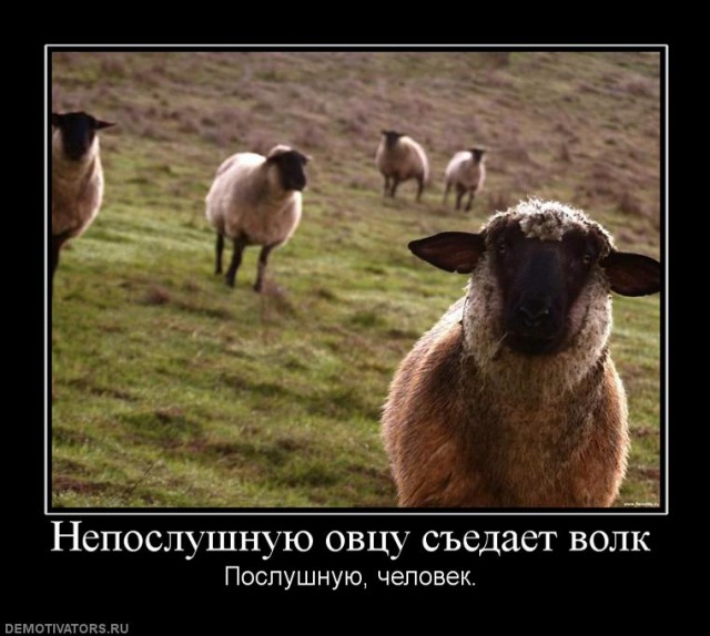 Вы хотите "демов"?