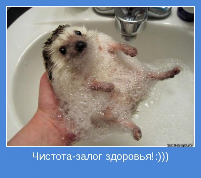 Почему я не пользуюсь холодильником друга?