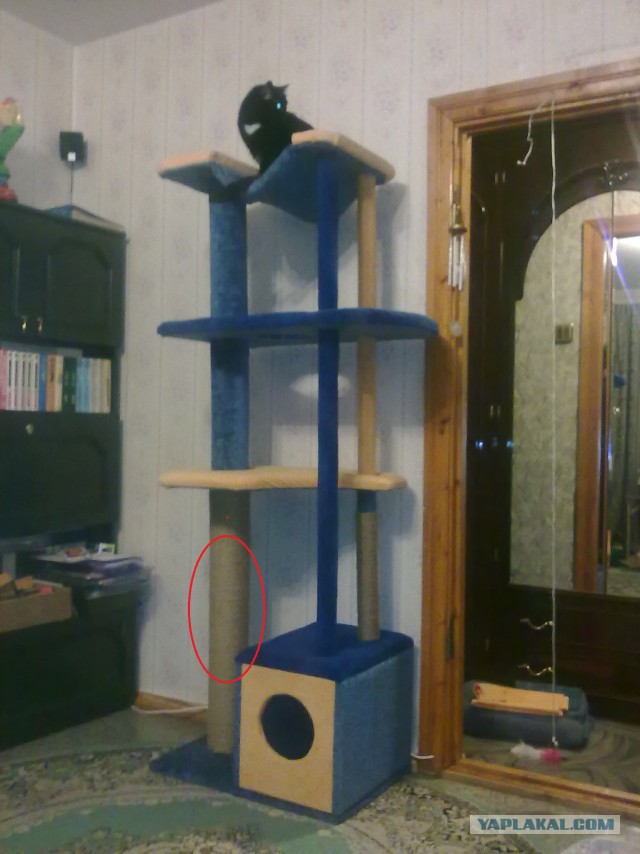 Кошкин дом - он такой