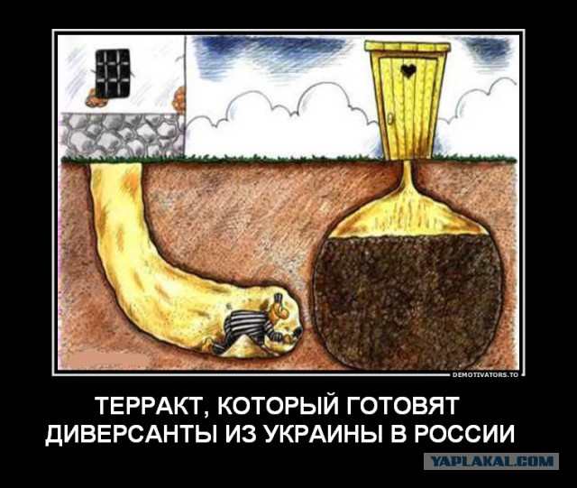 Украинцы готовят теракты на территории РФ