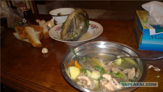 Полевая кухня