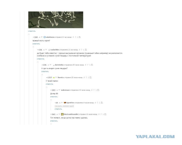 Злые шутки или минутка сарказма на ЯП-е, 16+