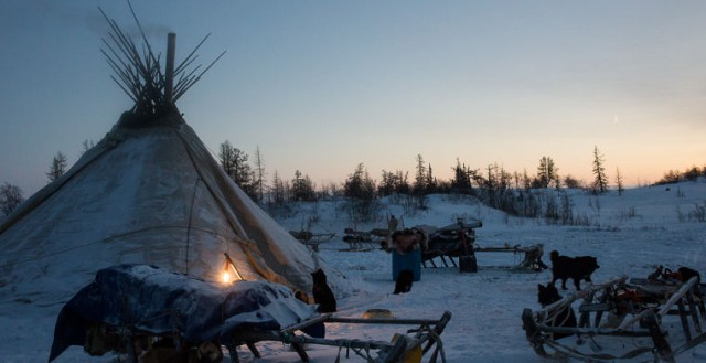 Что ненцу хорошо, русскому не понять