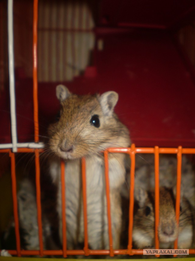 Подборка картинок 02.03.16