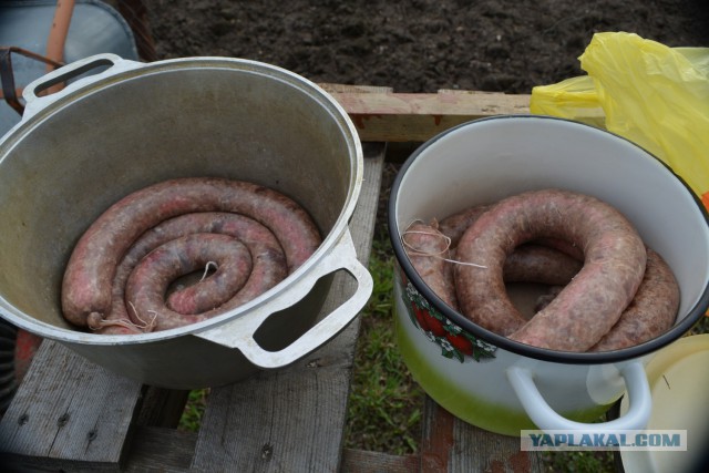 "Краковская" и "сервелат" в домашних условиях