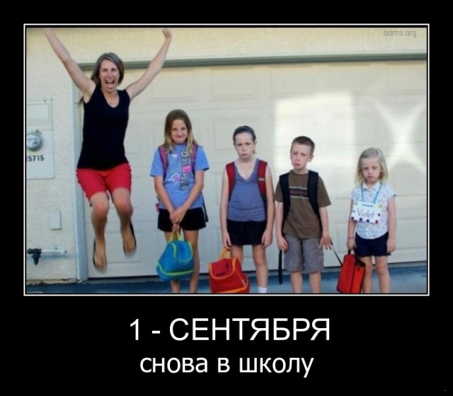 Подборка интересных и веселых картинок