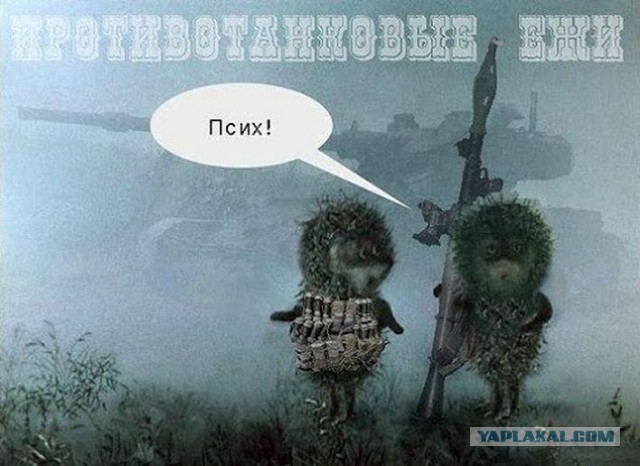 Мудачье в Крыму